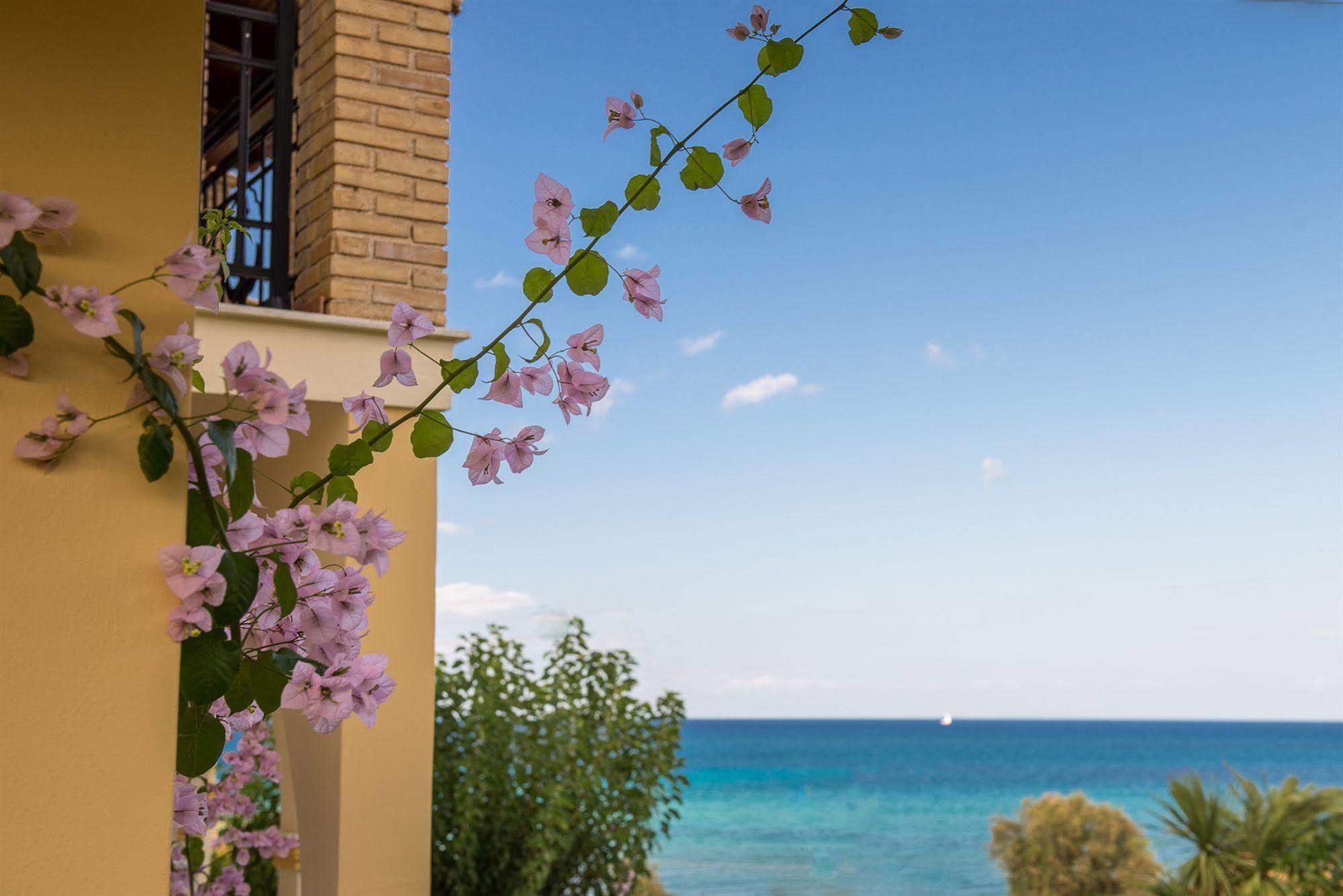 Apartment Calypso Amoudi